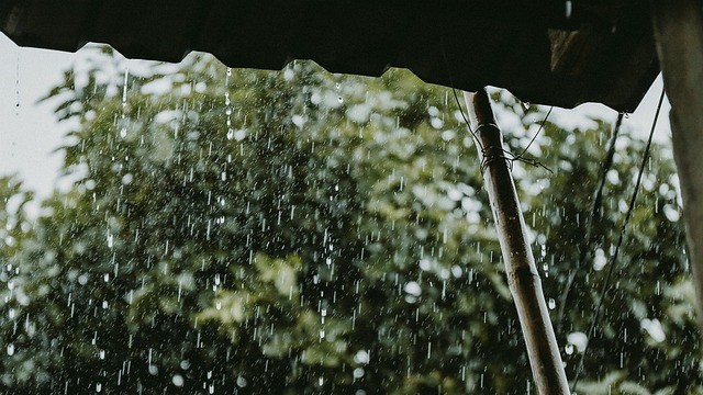 Rain Water Harvesting